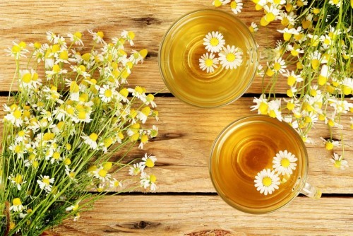 Trà hoa cúc- tác dụng của trà hoa cúc và những lưu ý khi dùng